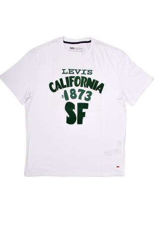 6606601380 \ Футболка мужская \ LEVI'S \ Levi Strauss & Co